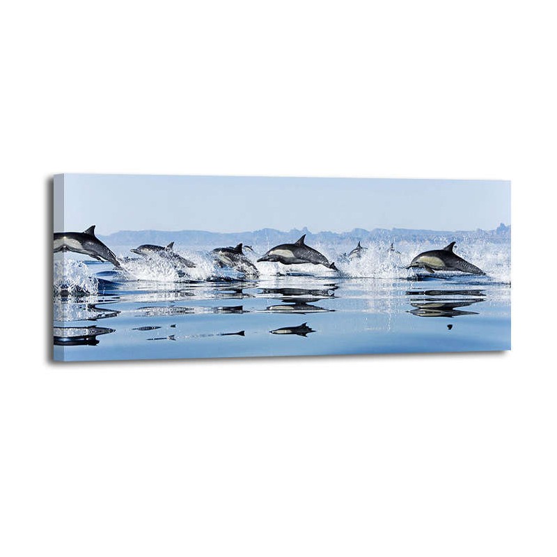Anónimo - Delfines en el Golfo de California