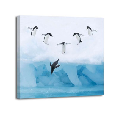 Dli Llc - Penguins jumping into water