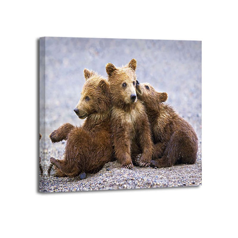 Richard Wear - Grizzly Bear clubs, Alaska