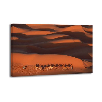 Yann Arthus Bertrand - Camels crossing Amber dunes Mauritania