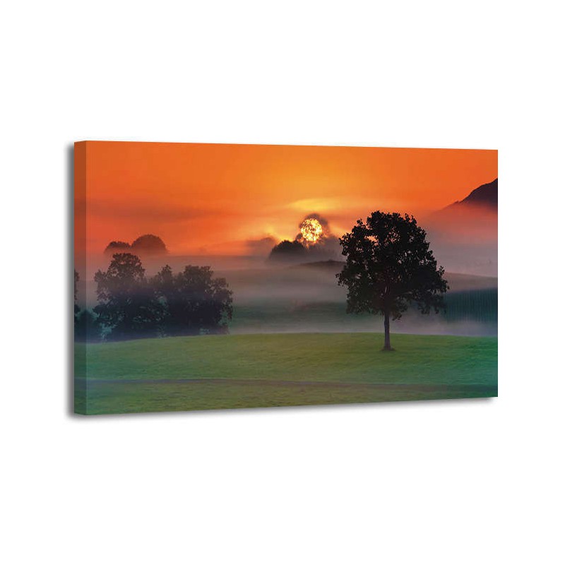 Frank Krahmer - Foggy landscape at sunrise