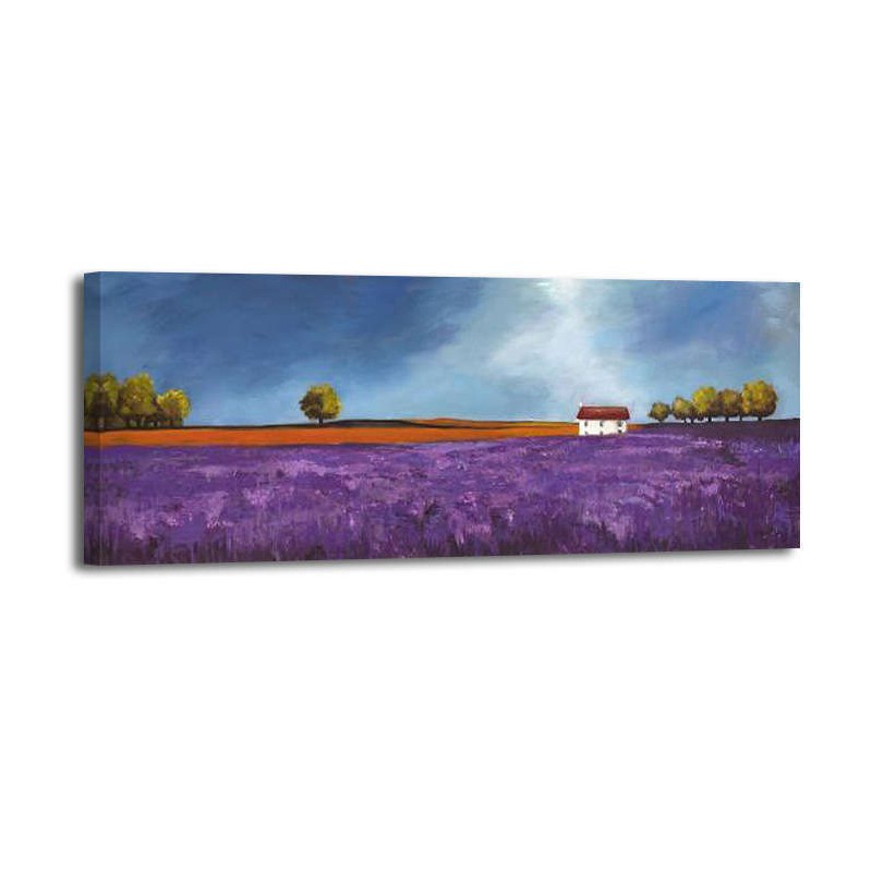 Philip Bloom - Field of lavender