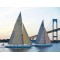 Onne Van der Wal - Racing Sailboats and Bridge