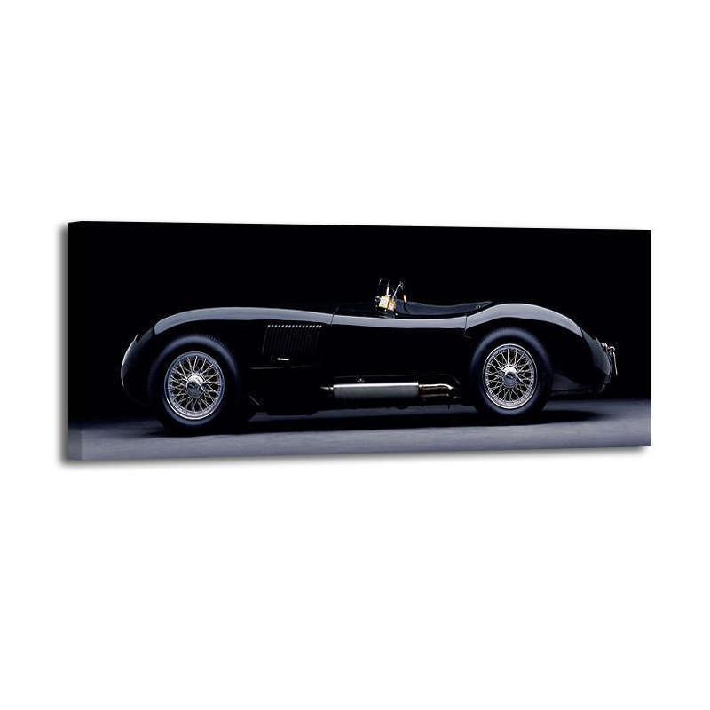 Don Heiny - 1951 Jaguar CType 