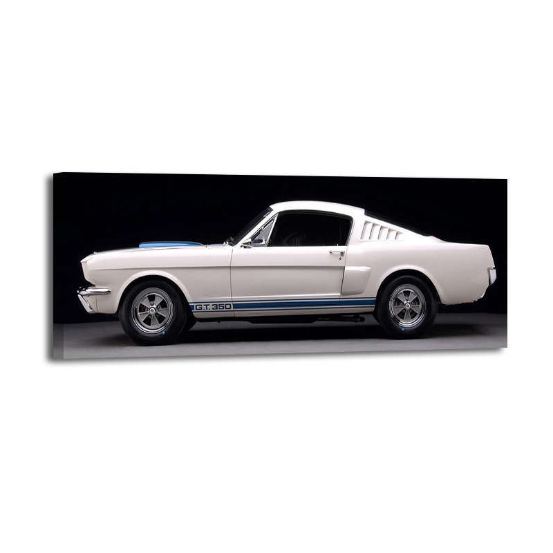 Don Heiny - 1965 Ford Shelby GT350 Mustang