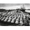 Hans Marx - First shipment of Beetles to America 1956