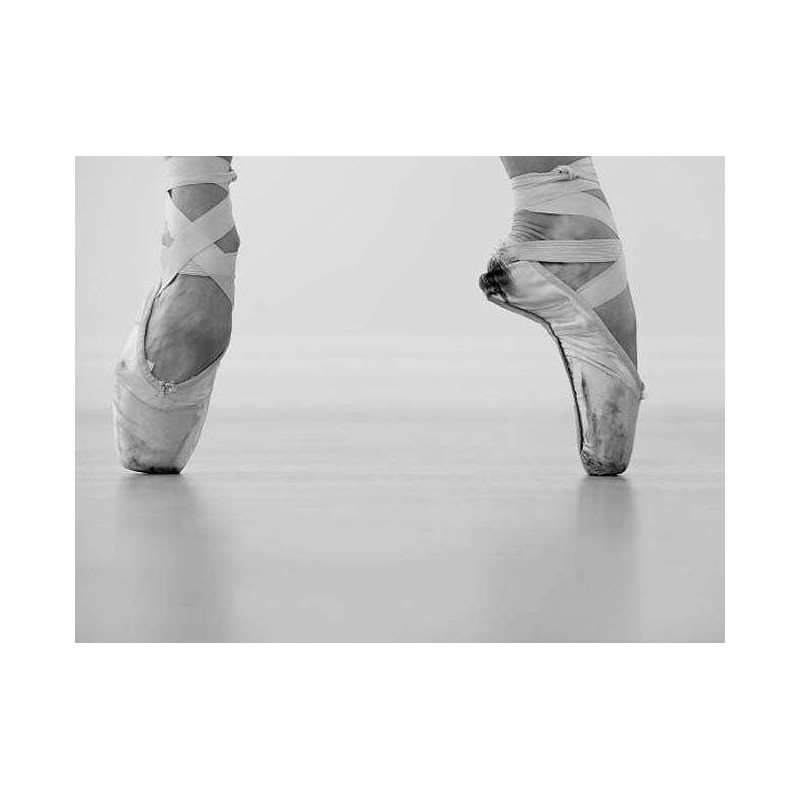 Tetra Studio - A femmale ballet dancer 