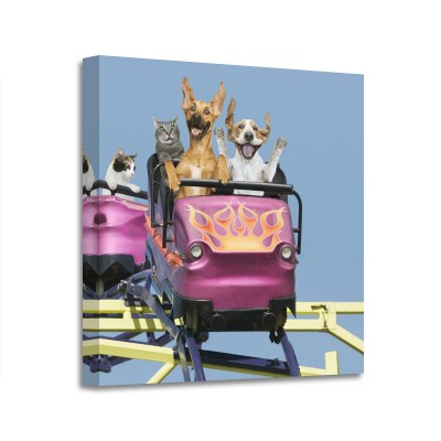 John Lund - Riding on Roller Coaster