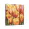 Luca Villa - Spring tulips II