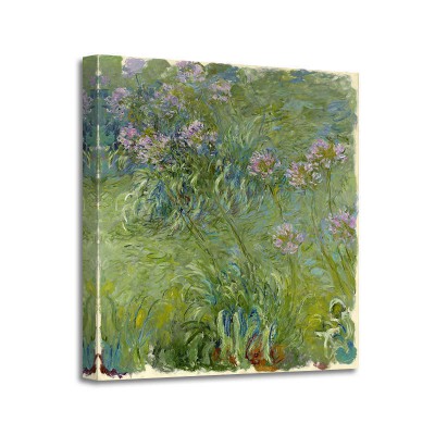 Claude Monet - Agapanthe